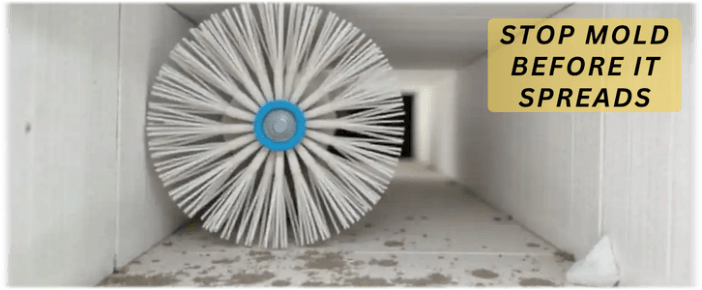 Air Duct Mold Removal in Flower Mound