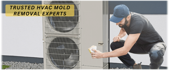 HVAC Mold Removal Flower Mound